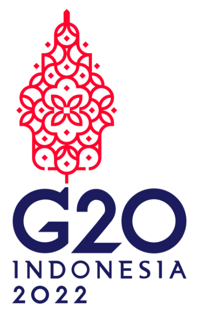 MMSGI Logo